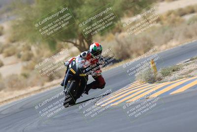 media/May-14-2023-SoCal Trackdays (Sun) [[024eb53b40]]/Turn 5 Tree of Life (1125am)/